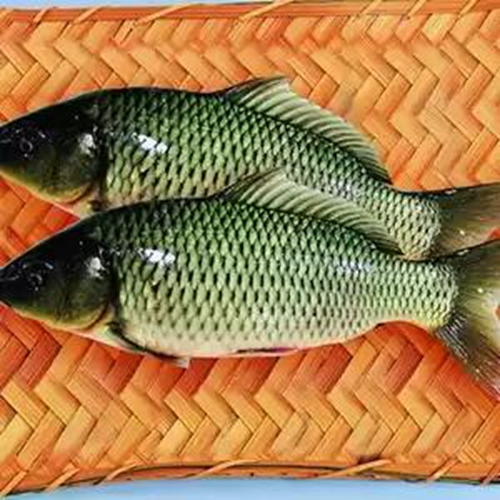 钓草鱼的秘制饵料配方_WWW.YUJUCEPING.COM