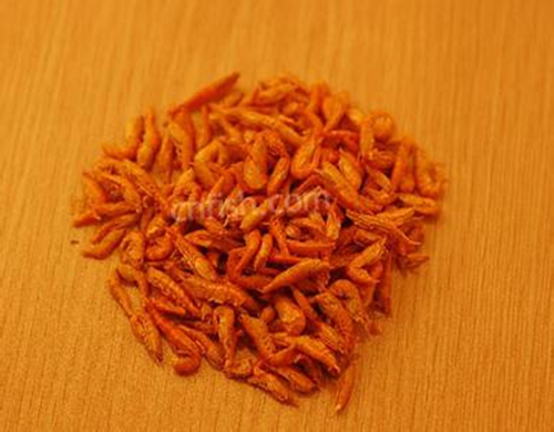 影响鱼饵的选择因素_WWW.YUJUCEPING.COM