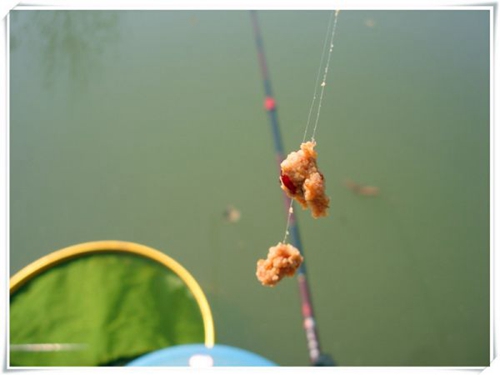 钓鱼时搓饵拉饵相结合_WWW.YUJUCEPING.COM