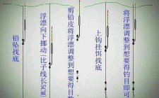 钓鲫鱼调漂及信号反应