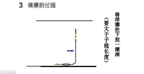 钓鲫鱼调漂及信号反应_WWW.YUJUCEPING.COM