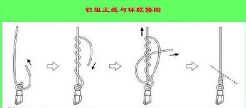 复式八字结的打法 图文_WWW.YUJUCEPING.COM