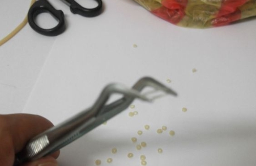 原塘颗粒钓饵手工DIY制作方法_WWW.YUJUCEPING.COM