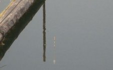 无钩调漂法图解
