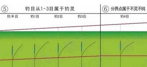 无钩调漂法图解_WWW.YUJUCEPING.COM