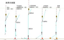 什么是调目