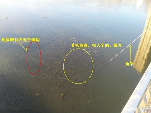 锚鱼的钓法_WWW.YUJUCEPING.COM