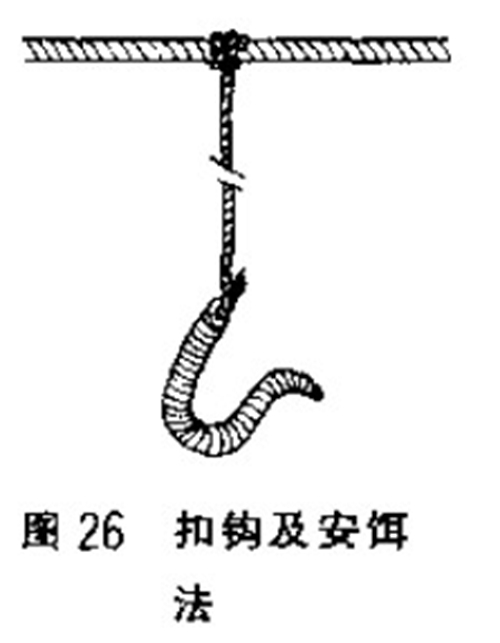 延绳钓法_WWW.YUJUCEPING.COM