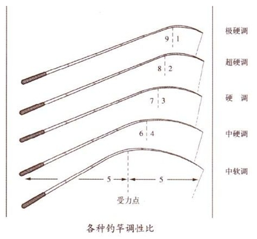 什么是调性_WWW.YUJUCEPING.COM