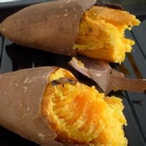 红薯是什么鱼吃吗_WWW.YUJUCEPING.COM