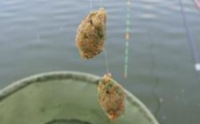 鱼饵附钩性什么意思