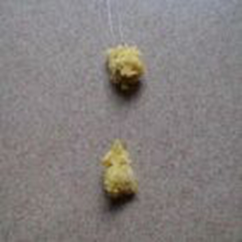 什么是搓饵钓_WWW.YUJUCEPING.COM