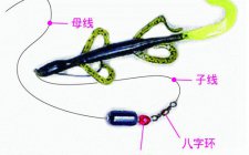 什么是咬铅钓组