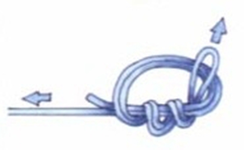 什么样的鱼线好_WWW.YUJUCEPING.COM
