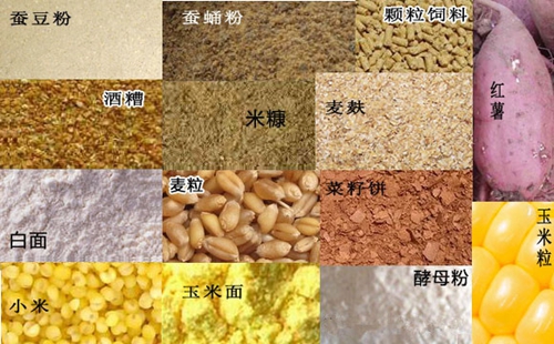 钓鲤鱼鱼饵配方_WWW.YUJUCEPING.COM