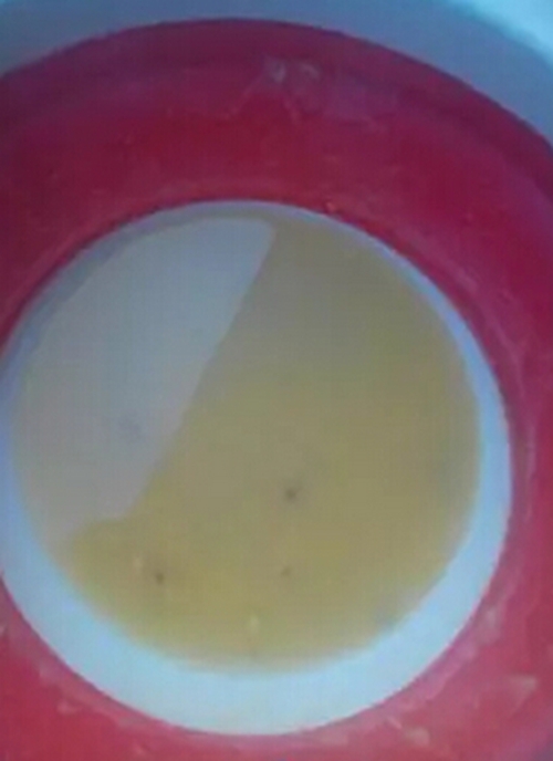 钓鲢鱼饵料_WWW.YUJUCEPING.COM