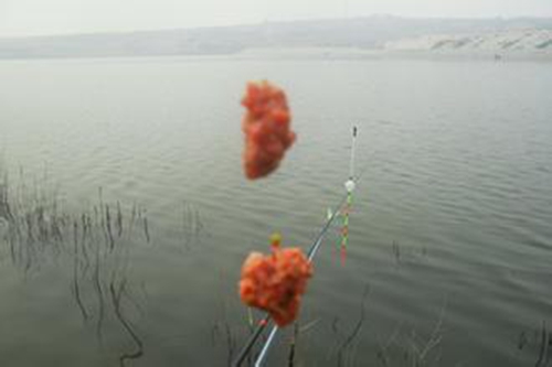 钓鲢鱼饵料_WWW.YUJUCEPING.COM