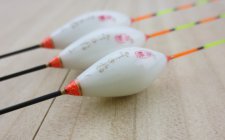 北方秋天钓鲫鱼技巧