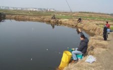 夏天鱼塘钓鱼技巧