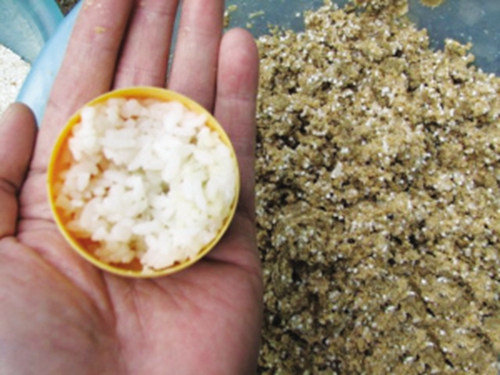 米饭饵料的制作方法_WWW.YUJUCEPING.COM