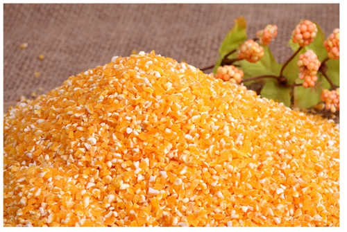 水库钓鱼的钓组和用饵技巧_WWW.YUJUCEPING.COM