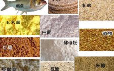 钓鲢鱼饵料配方