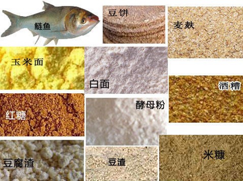 钓鲢鱼饵料配方_WWW.YUJUCEPING.COM