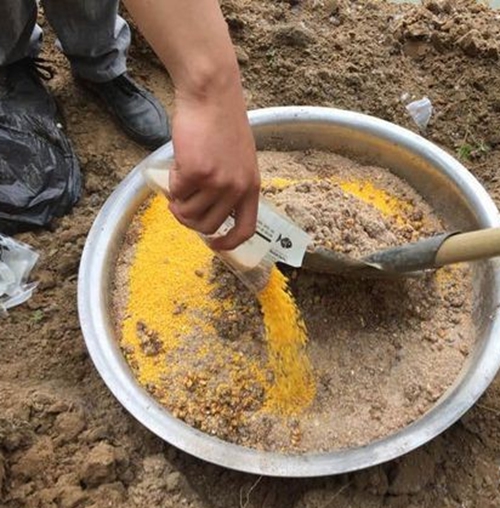 秋天钓鲤鱼的打窝技巧_WWW.YUJUCEPING.COM