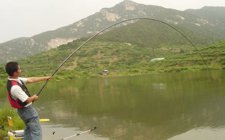 鱼竿不同调性的对比