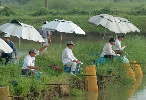 台钓入门鱼竿的选择_WWW.YUJUCEPING.COM