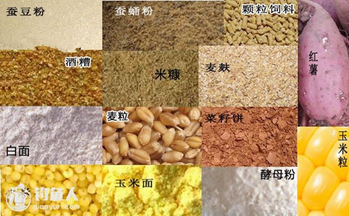 钓青鱼鱼饵配方_WWW.YUJUCEPING.COM