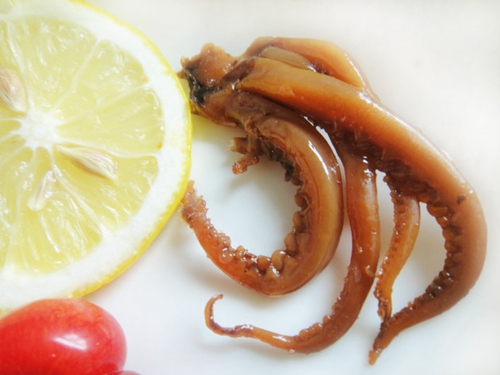 海钓鱼饵使用技巧_WWW.YUJUCEPING.COM