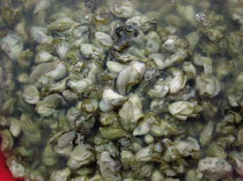 海钓鱼饵使用技巧_WWW.YUJUCEPING.COM