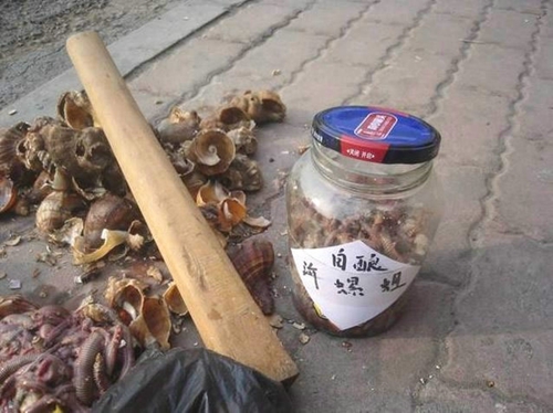 海钓鱼饵的分类_WWW.YUJUCEPING.COM