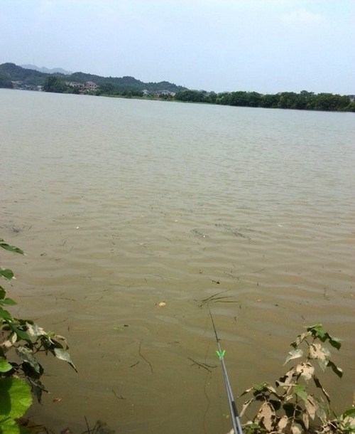 秋天湖泊钓鱼选钓点技巧_WWW.YUJUCEPING.COM