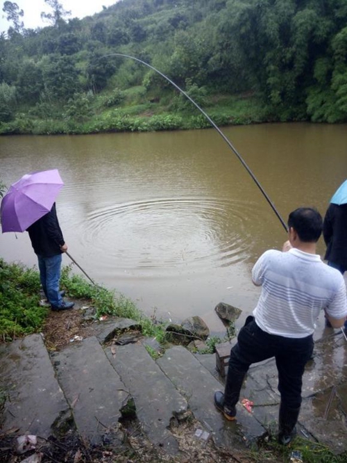 阴雨天钓鱼怎么选钓位_WWW.YUJUCEPING.COM