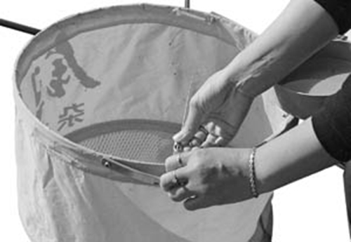 悬坠钓法操作图解_WWW.YUJUCEPING.COM