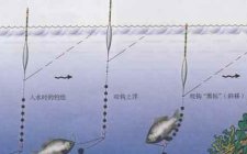 悬坠钓法调漂图解