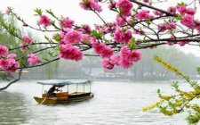什么天气最适合钓鱼