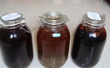 自制钓鱼小药配方