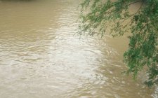 浑水钓鱼技巧