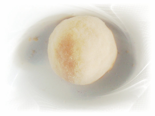 什么是白饵_WWW.YUJUCEPING.COM