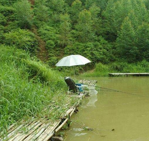 高手浑水中的钓鱼技巧_WWW.YUJUCEPING.COM