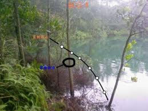 雷强钓法中雷蛙的操作技巧_WWW.YUJUCEPING.COM