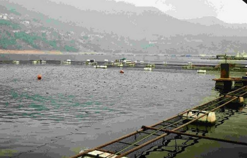 万峰湖钓鱼攻略_WWW.YUJUCEPING.COM