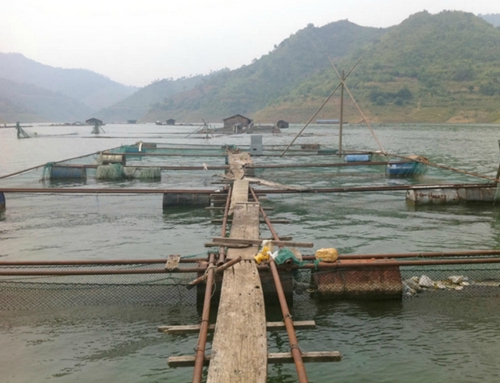万峰湖钓鱼攻略_WWW.YUJUCEPING.COM