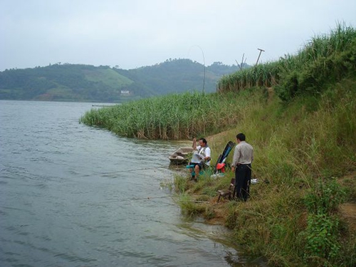 万峰湖钓鱼技巧_WWW.YUJUCEPING.COM
