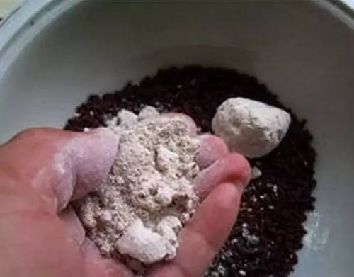万峰湖春末夏初的钓鱼技巧_WWW.YUJUCEPING.COM