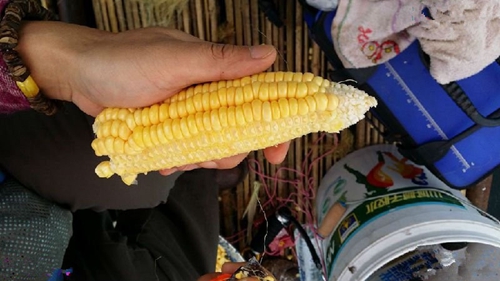 千岛湖筏钓技巧_WWW.YUJUCEPING.COM