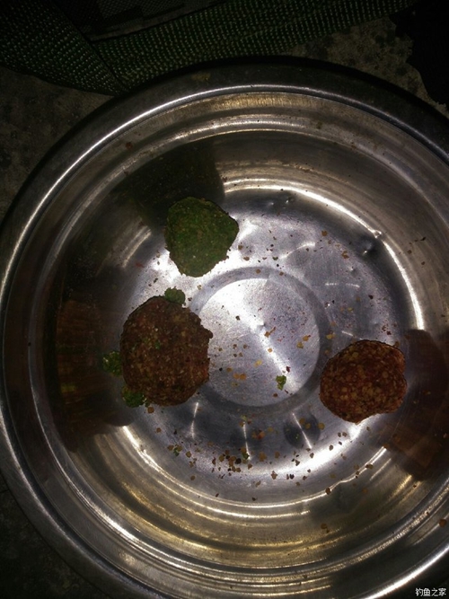 夜钓鲤鱼不开口原因_WWW.YUJUCEPING.COM